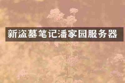 新盗墓笔记潘家园服务器