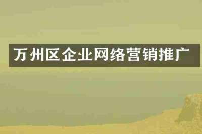 万州区企业网络营销推广