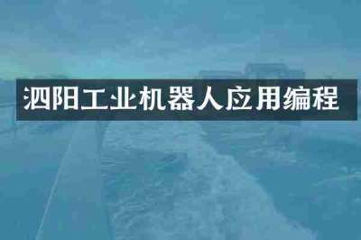 泗阳工业机器人应用编程