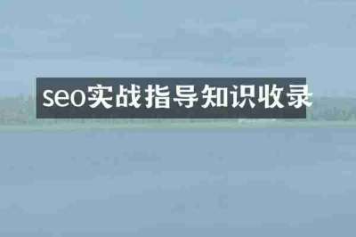seo实战指导知识收录
