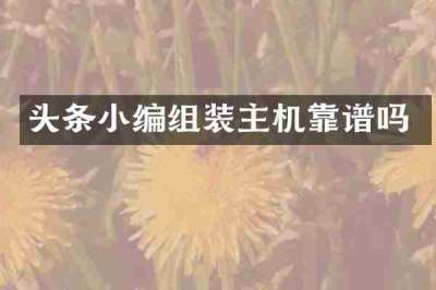 头条小编组装主机靠谱吗