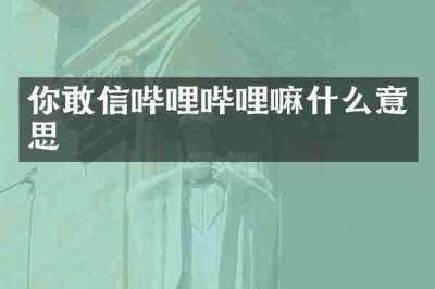你敢信哔哩哔哩嘛什么意思