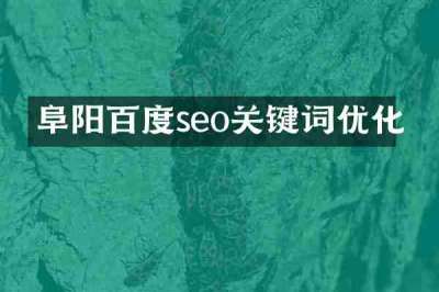阜阳百度seo关键词优化
