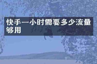 快手一小时需要多少流量够用