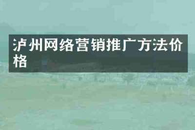 泸州网络营销推广方法价格