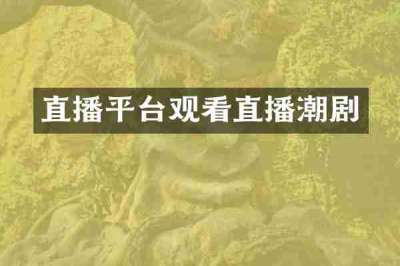 直播平台观看直播潮剧