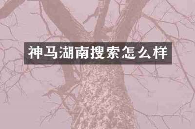 神马湖南搜索怎么样