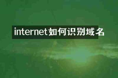 internet如何识别域名