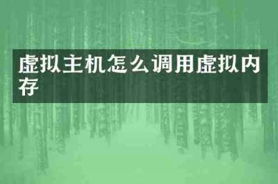 虚拟主机怎么调用虚拟内存