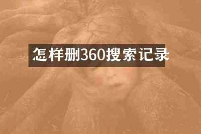 怎样删360搜索记录