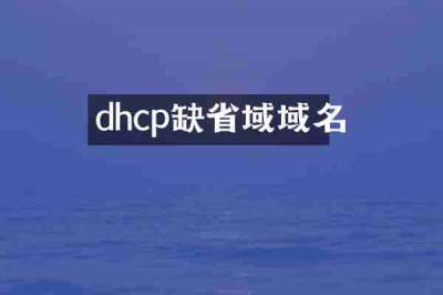 dhcp缺省域域名