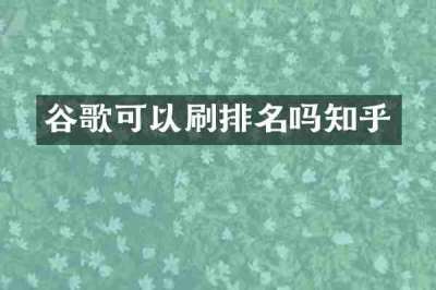 谷歌可以刷排名吗知乎