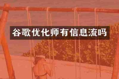 谷歌优化师有信息流吗