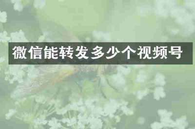 微信能转发多少个视频号