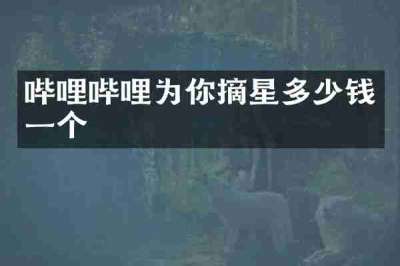 哔哩哔哩为你摘星多少钱一个