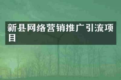新县网络营销推广引流项目