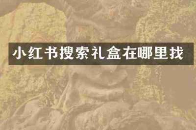 小红书搜索礼盒在哪里找