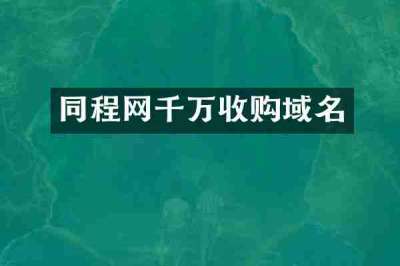 同程网千万收购域名