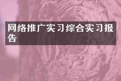 网络推广实习综合实习报告