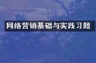 网络营销基础与实践习题
