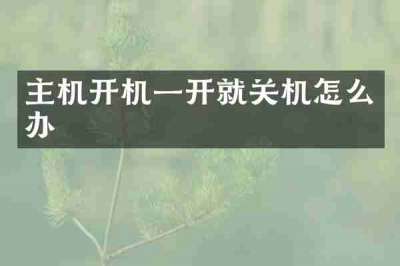 主机开机一开就关机怎么办
