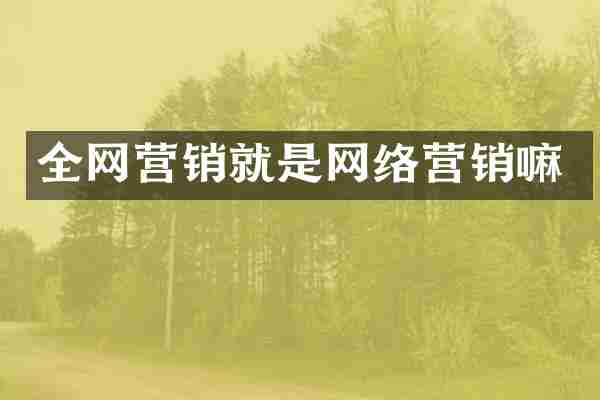 全网营销就是网络营销嘛