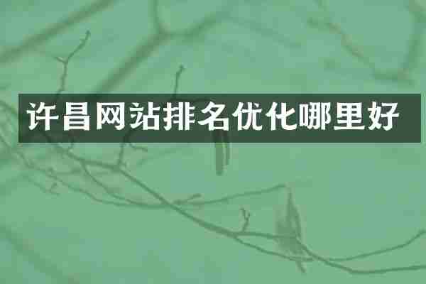 许昌网站排名优化哪里好