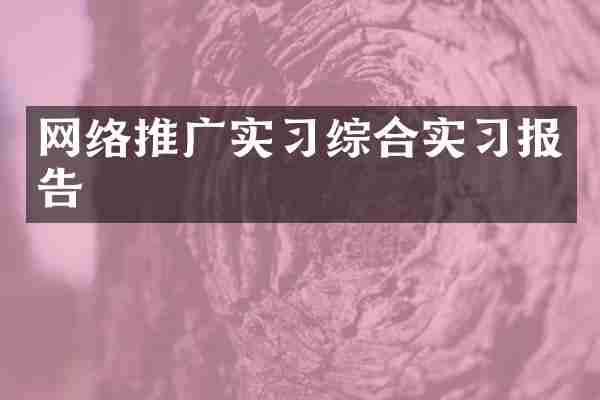 网络推广实习综合实习报告