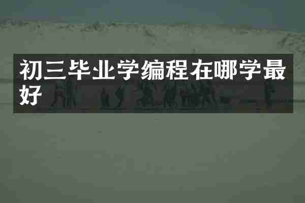 初三毕业学编程在哪学最好