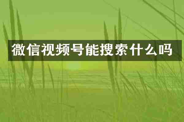 微信视频号能搜索什么吗