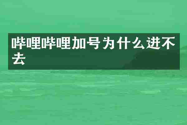 哔哩哔哩加号为什么进不去