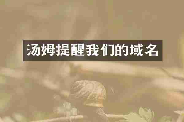 汤姆提醒我们的域名