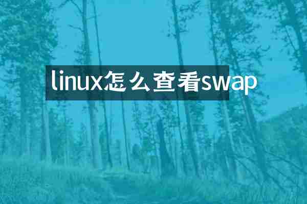 linux怎么查看swap