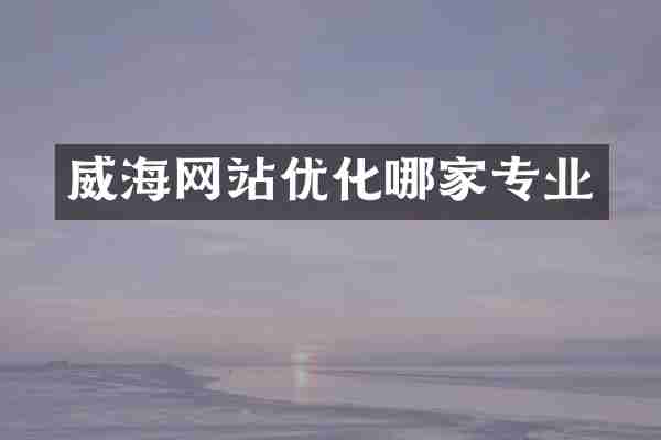 威海网站优化哪家专业