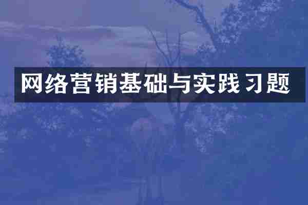 网络营销基础与实践习题