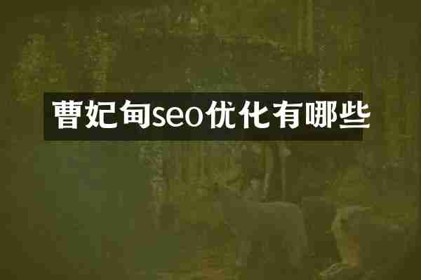 曹妃甸seo优化有哪些