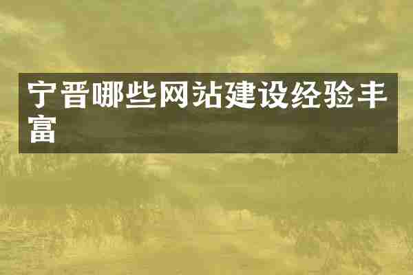 宁晋哪些网站建设经验丰富