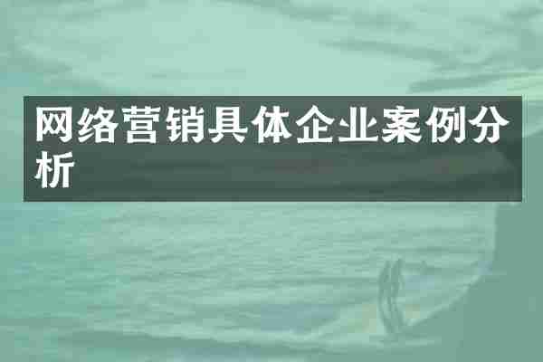 网络营销具体企业案例分析