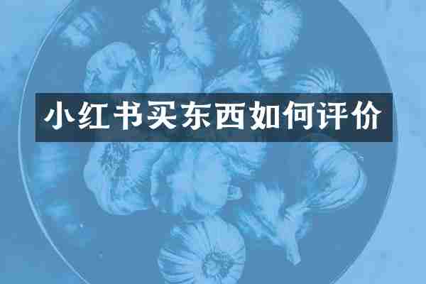 小红书买东西如何评价