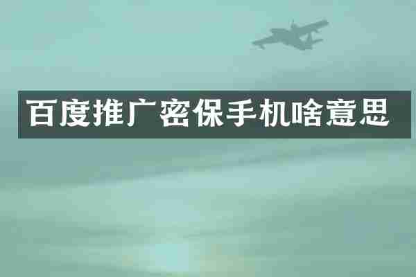 百度推广密保手机啥意思