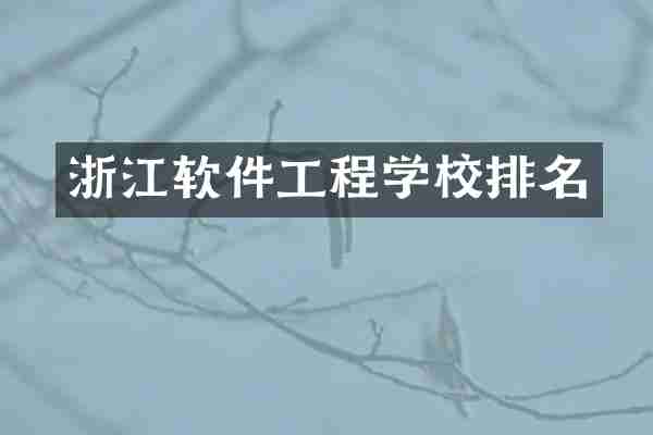 浙江软件工程学校排名