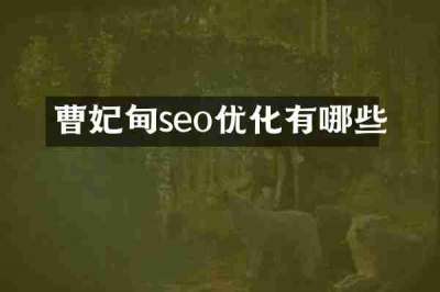 曹妃甸seo优化有哪些