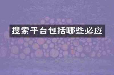 搜索平台包括哪些必应