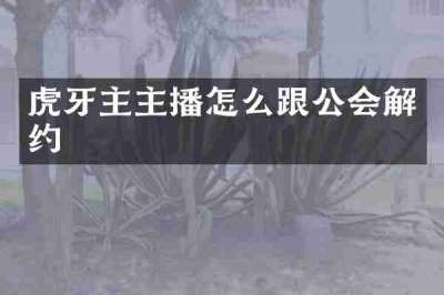 虎牙主主播怎么跟公会解约