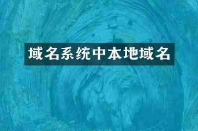 域名系统中本地域名