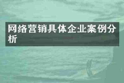 网络营销具体企业案例分析