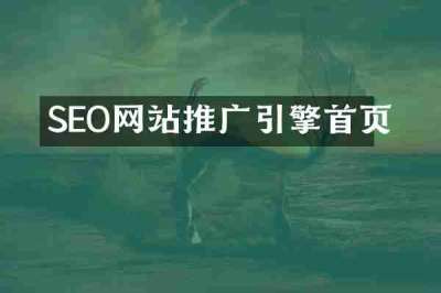 SEO网站推广引擎首页