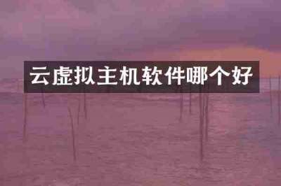 云虚拟主机软件哪个好