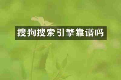 搜狗搜索引擎靠谱吗