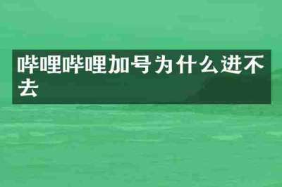 哔哩哔哩加号为什么进不去